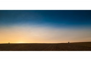 PAB_12961